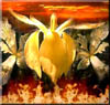 Opening In The Iris Of Fire