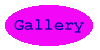 Gallery button