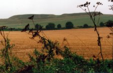 hillfort1a.jpg