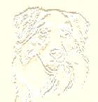ausbosgld.jpg (3795 bytes)