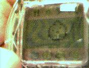 Current Tam 2! picture from the Tam Cam