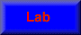 The Lab
