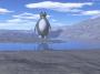 Penguin Land