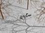 Winter Scene