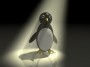 Penguin on Stage