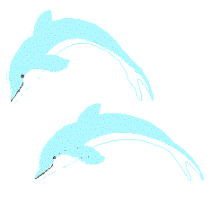 dolphin.gif