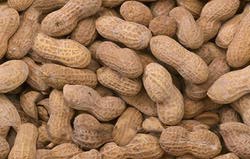 peanuts.jpg
