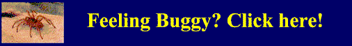 FellingBuggyBanner1.gif (4944 bytes)