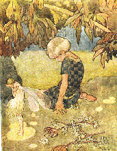fairy2.gif - 48.1 K