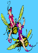 fairy7.gif - 4.7 K