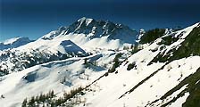 RH1.jpg (35 522 bytes)
