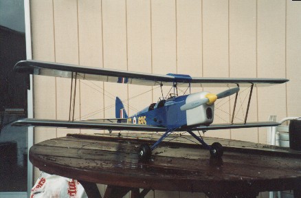 moth.jpg (34233 bytes)