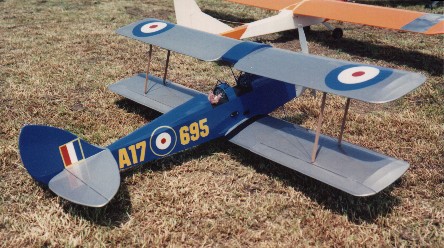 moth2.jpg (55617 bytes)