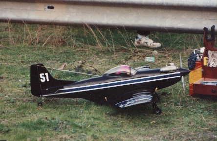 mustang.jpg (50611 bytes)