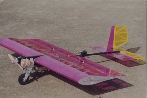 tadpole.jpg (36220 bytes)