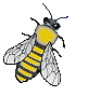 Abeja, multigif