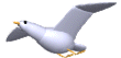 gaviota en vuelo 16KB