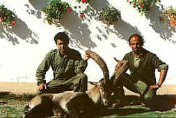 Antonios con un ejemplar de macho montés
