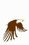 Aguila en vuelo. 16KB