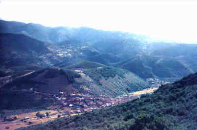Vista de Solana del Pino desde "Los Rehoyos"