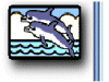 Dolphins