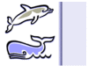 Whales and dolphins