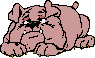 Who Let The Dawgs Out?
