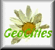 geo-dsy1.gif (2506 bytes)