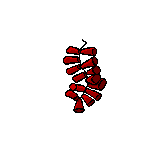 Animation