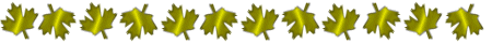 Separater