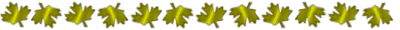 Separater