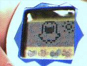 Current Tam 1 picture from the Tam Cam