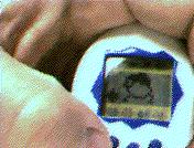 masuku-chi during game