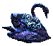 swan