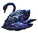 swan