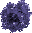 peony