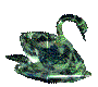 green 		swan