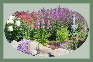 Second tier, June, 2000:  Top Brass Peonies, Pink Jupiter's Beard, Strawberry Foxglove, Blue Victorian Sage, Delphinium, dainthus and purple thyme.