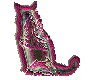 red cat