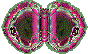 oval