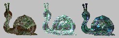 snails