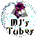 PSP Tubes