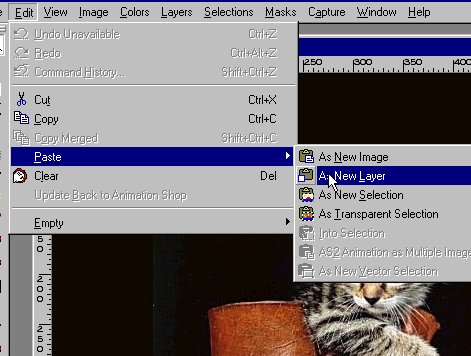 paste_new_layer.jpg (43127 bytes)