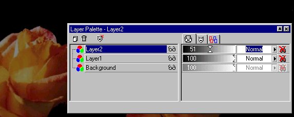 5.jpg (23553 bytes)