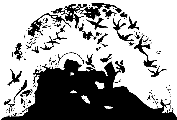 Franziskus