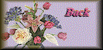 [bqback.gif]