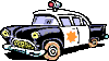 police.gif (1685 bytes)