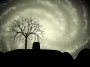 Tree and Sky