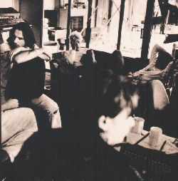 DM en estudio