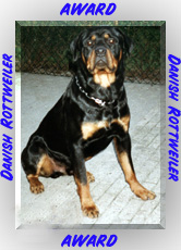 [Danish Rottweiler Award]